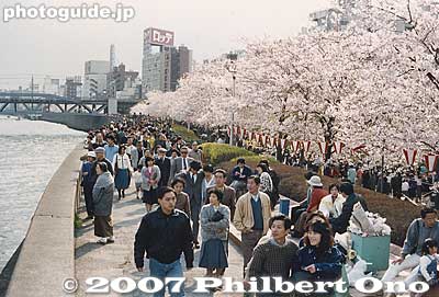 Cherry blossoms along Sumida River.
Keywords: tokyo taito-ku sumida koen park river cherry blossoms sakura matsuri flowers
