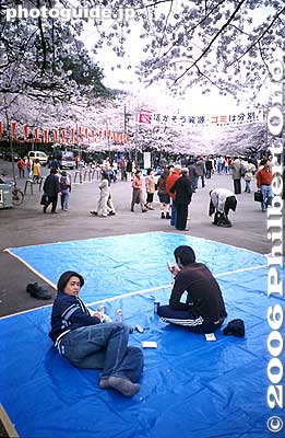 Reserving flower-viewing space
People come early in the morning and stake out a prime picnicking space for their company or group to gather later in the day or in the evening.
Keywords: tokyo taito-ku ueno cherry blossom sakura