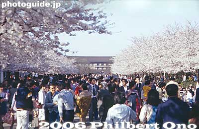 Toward the Tokyo National Museum
Keywords: tokyo taito-ku ueno cherry blossom sakura