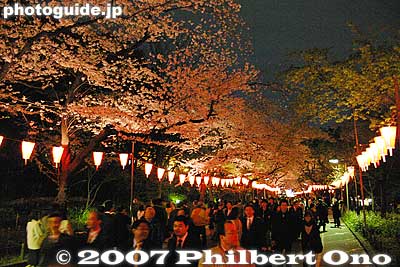 Also at night, Ueno Park is hugely popular for hanami.
Keywords: tokyo taito-ku ueno park cherry blossom sakura night