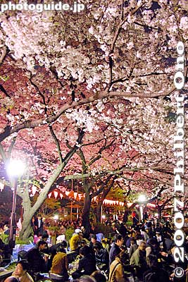 Ueno Park at night
Keywords: tokyo taito-ku ueno park cherry blossom sakura night matsuri3