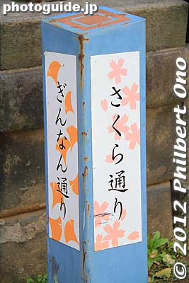 The main drag is nicknamed "Sakura-dori" meaning Cherry Blossom Road.
Keywords: tokyo taito-ku Yanaka Cemetery cherry blossoms sakura flowers