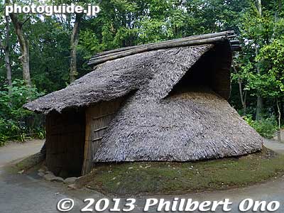 Reconstructed Jomon Period shack. Basically a shallow hole in the ground with a thatched roof over it.
