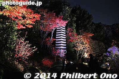 Keywords: tokyo toshima-ku mejiro teien garden autumn fall foliage
