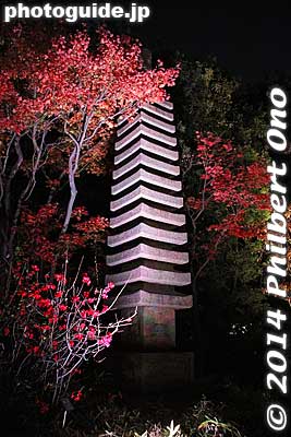 Keywords: tokyo toshima-ku mejiro teien garden autumn fall foliage