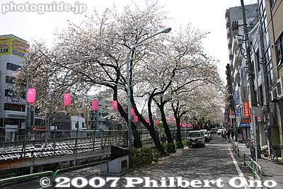 Cherry blossoms near JR Sugamo Station
Keywords: tokyo toshima-ku ward sugamo cherry blossom tree sakura