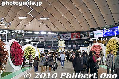 Orchid Road
Keywords: tokyo bunkyo-ku dome Japan Grand Prix International Orchids Festival show flowers 