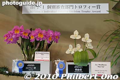 Trophy Awards
Keywords: tokyo bunkyo-ku dome Japan Grand Prix International Orchids Festival show flowers 