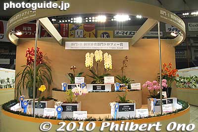 Blue Ribbons for overseas winners.
Keywords: tokyo bunkyo-ku dome Japan Grand Prix International Orchids Festival show flowers 