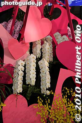 Another photo for my Valentine's card.
Keywords: tokyo bunkyo-ku dome Japan Grand Prix International Orchids Festival show flowers 