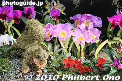 Squirrel made of old man's beard lichen.
Keywords: tokyo bunkyo-ku dome Japan Grand Prix International Orchids Festival show flowers 