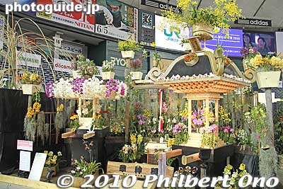 Mikoshi portable shrines serve as this design's motif.
Keywords: tokyo bunkyo-ku dome Japan Grand Prix International Orchids Festival show flowers 