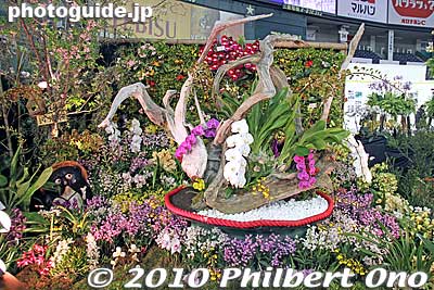 Rotating display in the middle.
Keywords: tokyo bunkyo-ku dome Japan Grand Prix International Orchids Festival show flowers 