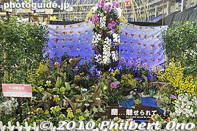 Lights
Keywords: tokyo bunkyo-ku dome Japan Grand Prix International Orchids Festival show flowers 