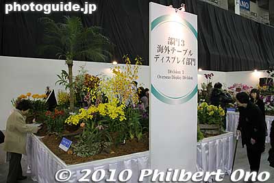 Overseas Table Display had small flower displays created by overseas people.
Keywords: tokyo bunkyo-ku dome Japan Grand Prix International Orchids Festival show flowers 