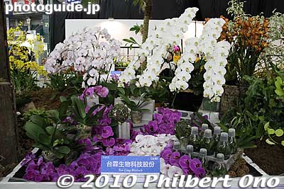 Taiwan
Keywords: tokyo bunkyo-ku dome Japan Grand Prix International Orchids Festival show flowers 