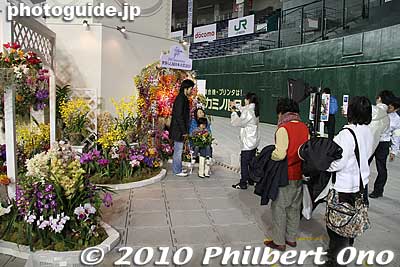Picture-taking corner
Keywords: tokyo bunkyo-ku dome Japan Grand Prix International Orchids Festival show flowers 