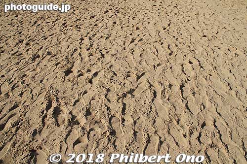 The sand is quite solid, not soft like beach sand on Waikiki.
Keywords: Tottori sand dunes