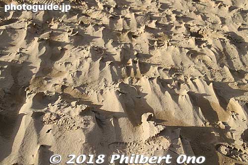 Wind-blown footprints.
Keywords: Tottori sand dunes