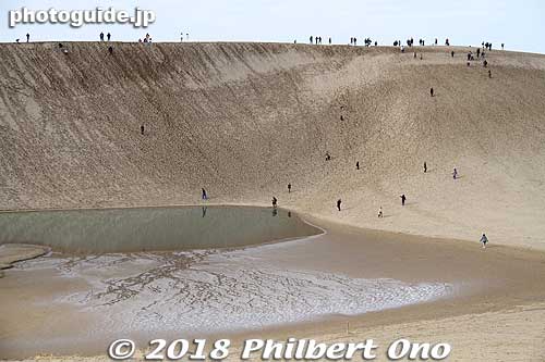 When you see the Tottori Sand Dunes, you'll see tiny humans way out in the distance. They look to be far, far away, but the distance is surprisingly close.
Maybe only a 10- or 15-min. walk away. Depending on whether you climb the dunes or not.
Keywords: Tottori sand dunes sakyu