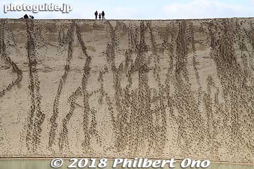The sand dunes can be pretty steep, but not dangerous. They have downhill sand boarding.
Keywords: Tottori sand dunes sakyu japanocean