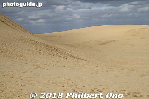 Tottori Sand Dunes are very photogenic, and many photographers have used it for artistic shoots.
Keywords: Tottori sand dunes sakyu japancoast