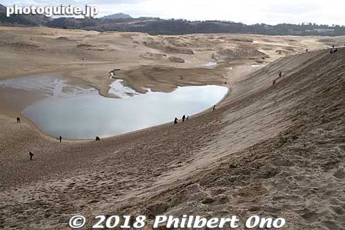 From the top of the dune.
Keywords: Tottori sand dunes sakyu