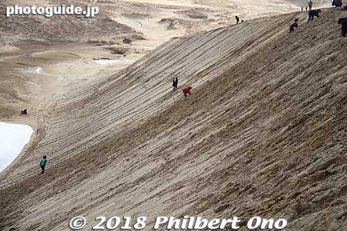 The steepest part looks to be around 40˚. There are more gradual slopes that you can easily go up and reach the top.
Keywords: Tottori sand dunes sakyu