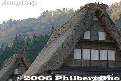 Thatched roofs
Keywords: toyama nanto ainokura gassho-zukuri thatched roof house minka
