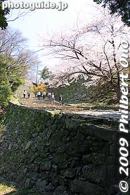 Wakayama Castle was originally built in 1585 by Toyotomi Hidenaga upon the order of elder brother Hideyoshi. The construction was directed by renown castle architect Lord Todo Takatora, native of Omi (Shiga Prefecture).
Keywords: wakayama castle cherry blossoms sakura flowers 