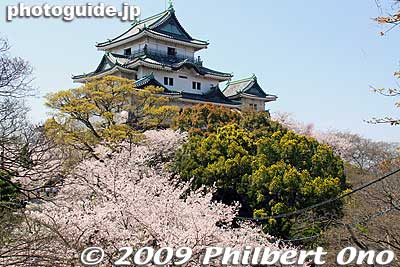 Wakayama Castle tower was destroyed again by World War II bombing on July 9, 1945. It was reconstructed in ferro-concrete in Oct. 1958.
Keywords: wakayama castle cherry blossoms sakura flowers 