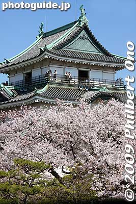 Wakayama Castle
Keywords: wakayama castle cherry blossoms sakura flowers 