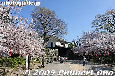 Path to Okaguchi-mon Gate, the castle's back entrance built by Tokugawa Yorinobu.
Keywords: wakayama castle cherry blossoms sakura flowers 