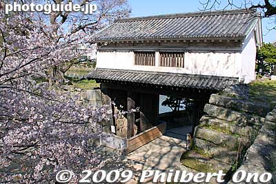 Okaguchi-mon Gate, an Important Cultural Property. One of the few structures still remaining from the Edo Period. 岡口門
Keywords: wakayama castle cherry blossoms sakura flowers 