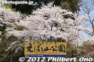 The park is a short taxi ride from JR Akayu Station on the Yamagata/Ou Line.
Keywords: yamagata nanyo eboshiyama park cherry blossoms sakura flowers