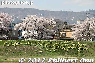 It says, "Yonezawa Beef is No. 1 in Japan."
Keywords: yamagata yonezawa cherry blossoms mogami riverbank flowers