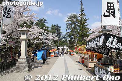 Sando path to Uesugi Shrine. 参道
Keywords: yamagata yonezawa uesugi jinja shrine cherry blossoms sakura