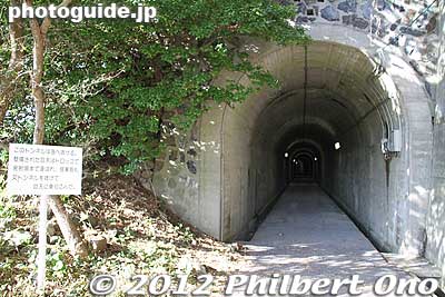 This World War II-era tunnel was used to take kaiten torpedoes to the training facility. It now provides access to the training facility.
Keywords: yamaguchi ozushima island kaiten human manned torpedo suicide