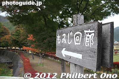 Corridor of maple trees (momiji), but I was too early in Oct.
Keywords: yamanashi fuji kawaguchiko-machi lake kawaguchi