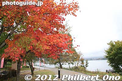 On the nearby shore, a few more maple trees.
Keywords: yamanashi fuji kawaguchiko-machi lake kawaguchi japanaki