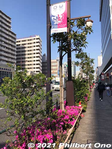 Tokyo 2020 street banners amid azaleas