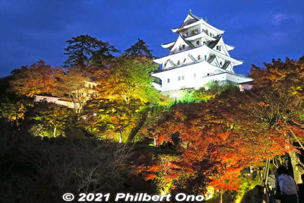 Gujo-Hachiman Castle fall foliage in evening