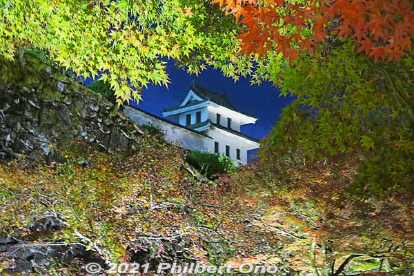 Gujo-Hachiman Castle fall foliage in evening
