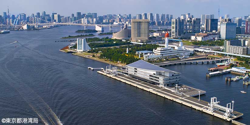 Tokyo International Cruise Terminal and Rainbow Bridge on the upper left.