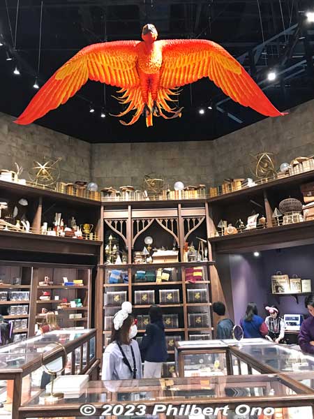 Fawkes the phoenix in gift shop