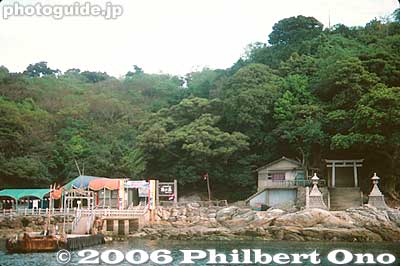 Monkey Island (Sarugashima)
Keywords: aichi prefecture hazu-cho monkey island