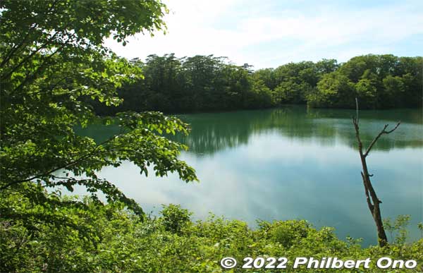 Ou-Ike Pond as seen from our tour bus. 王池
Keywords: aomori fukaura juniko lakes