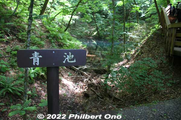 Way to Aoike Blue Pond.
Keywords: aomori fukaura juniko lakes aoike blue pond