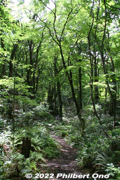 Keywords: aomori fukaura juniko lakes beech forest