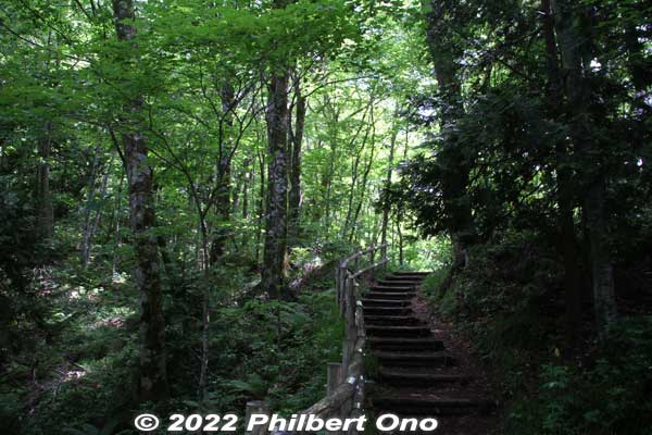 The beech forest trail eventually goes to the main road.
Keywords: aomori fukaura juniko lakes beech forest